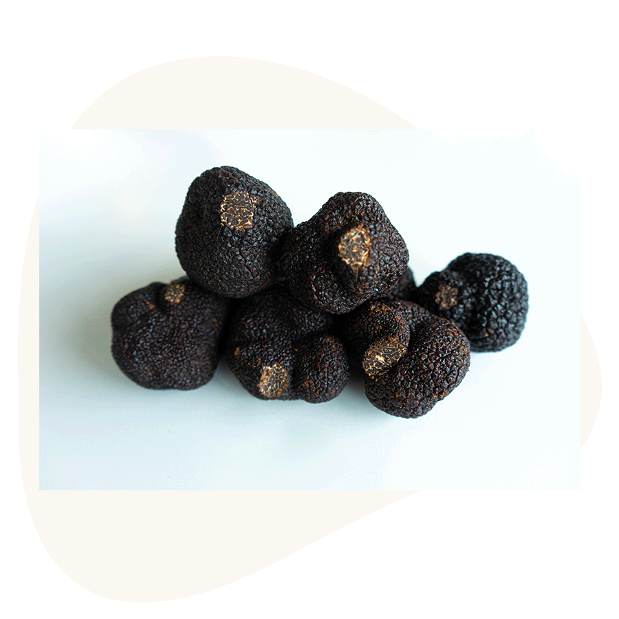 truffe